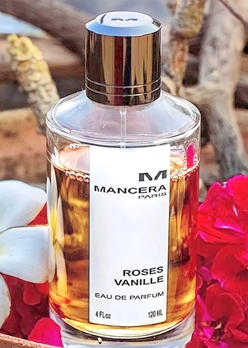 مانسيرا روز فانيلا - Roses Vanille Mancera