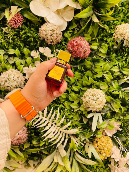 بكرات روج ريد